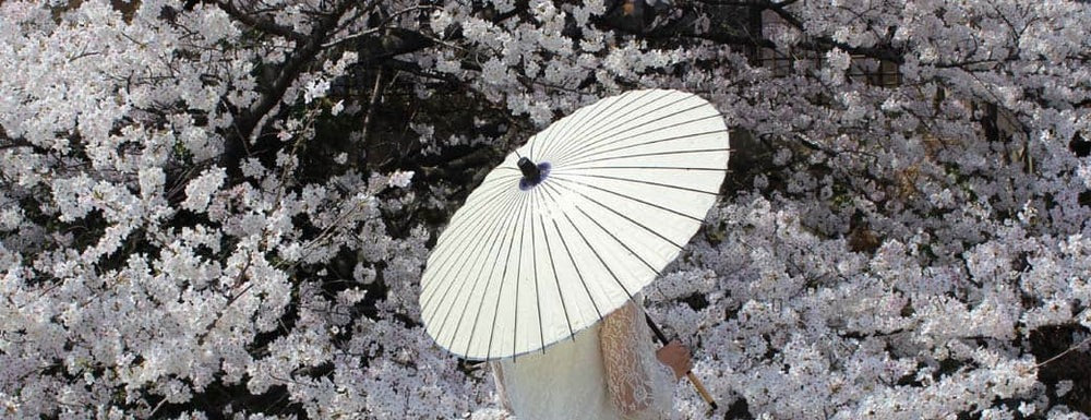 和傘を選ぶ(和日傘)