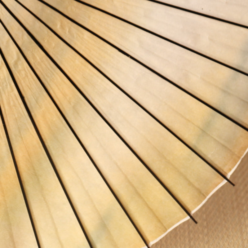 黒竹和日傘 『虹色染め』浅黄