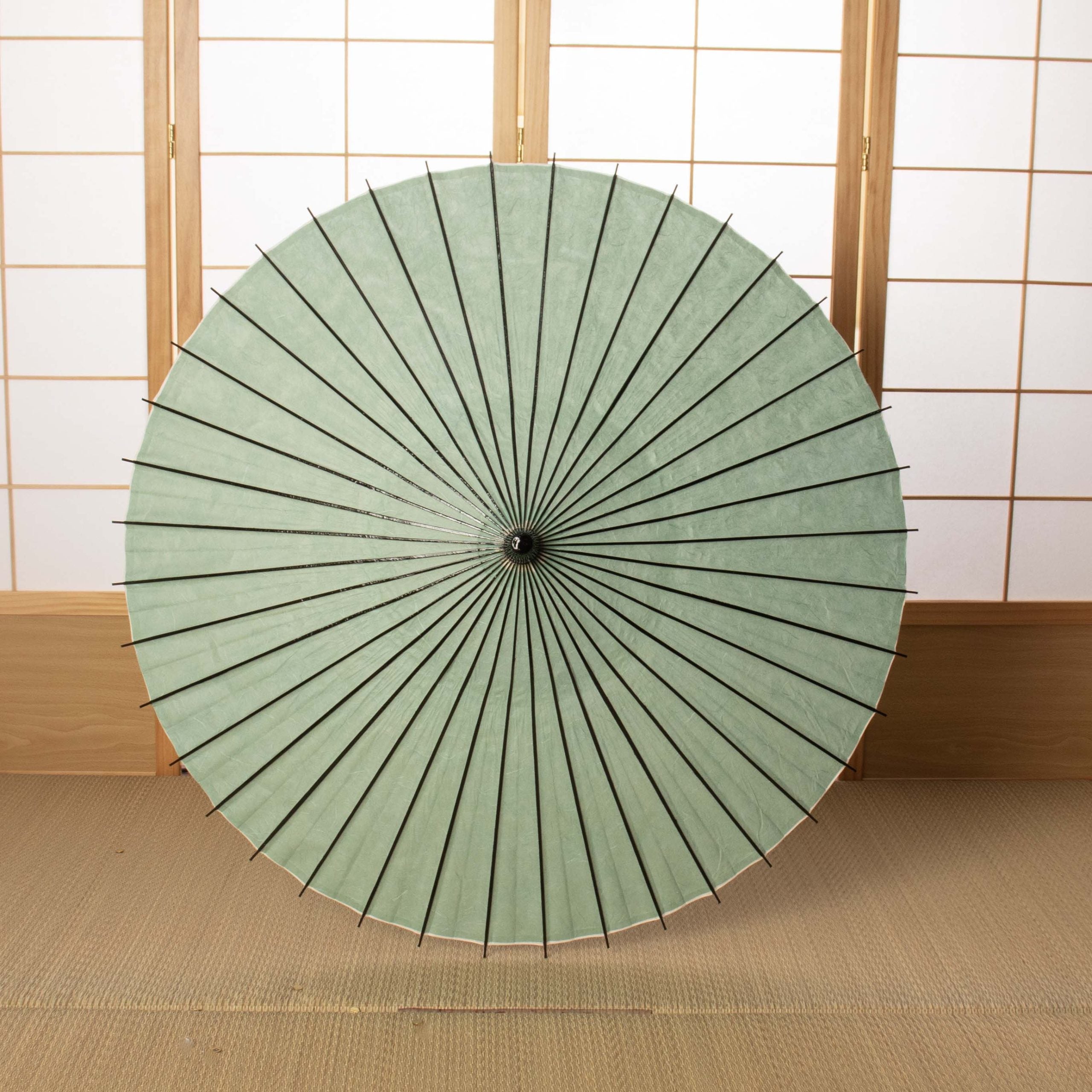 黒竹和日傘『縁』雲竜紙 若みどり