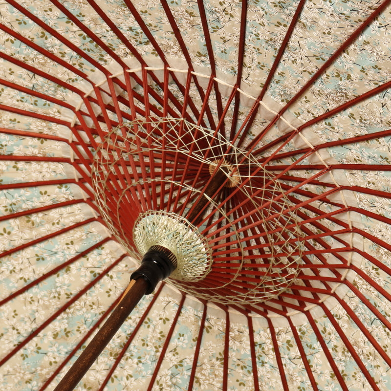 Black bamboo Japanese parasol "Flowering" Yukiyanagi / light blue