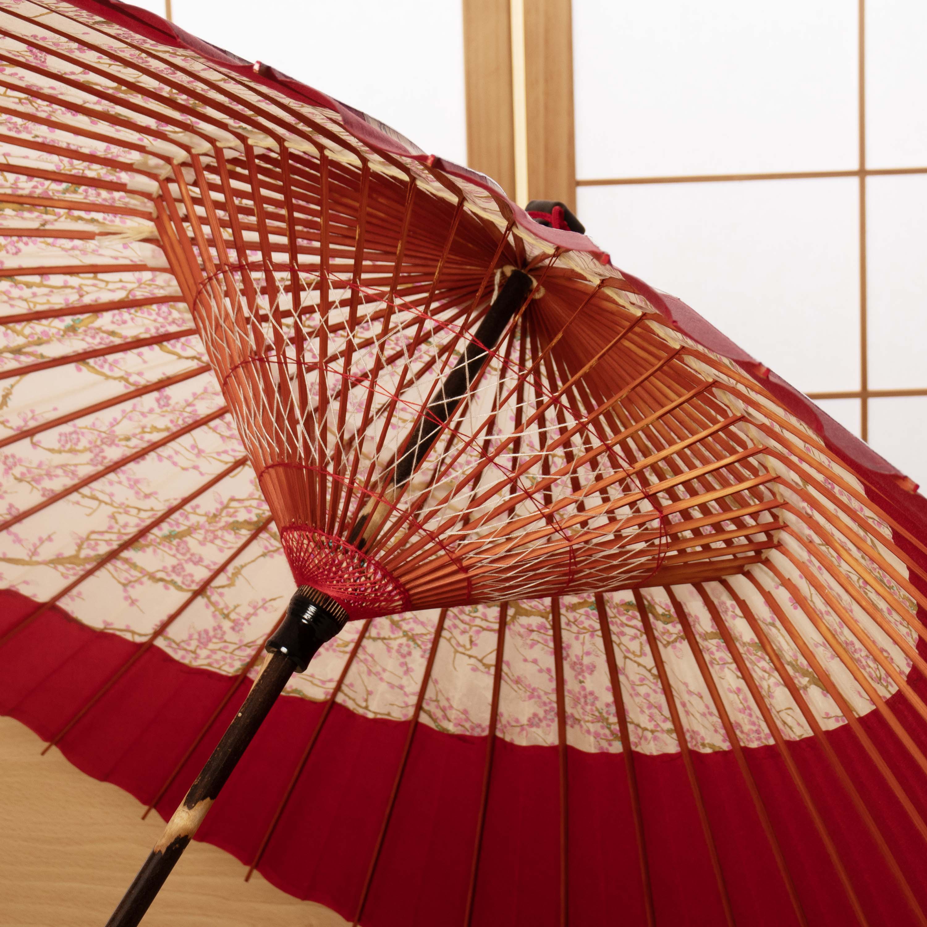特選月奴 紅梅流水『桃花月』