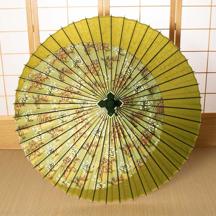 蛇の目傘