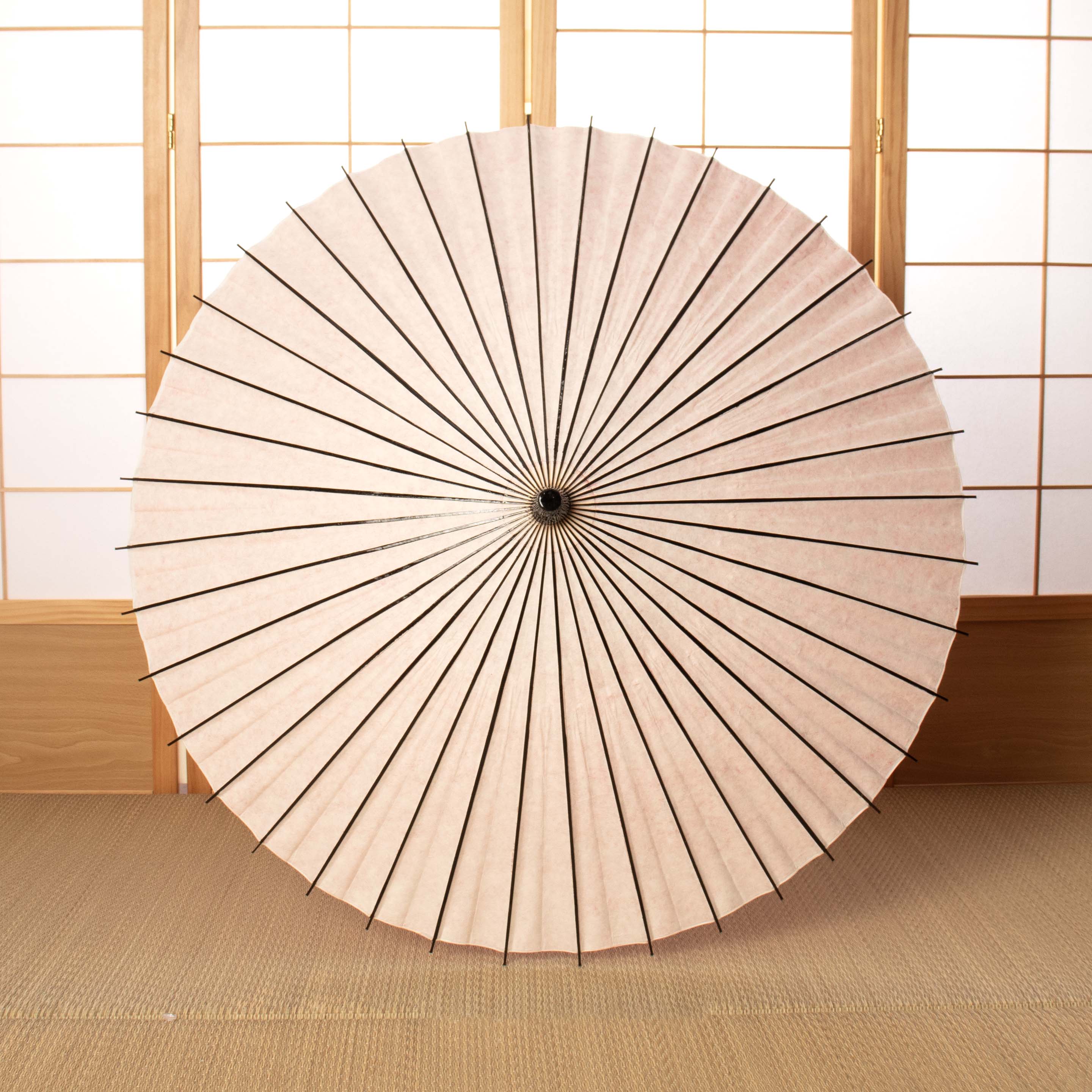 Flower opening / Sakura-goyomi/Japanese Black Bamboo Parasol