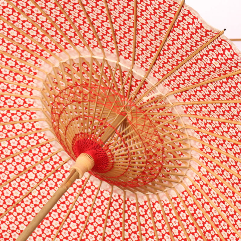 Japanese Parasol "Flower Blooming" Small Plum
