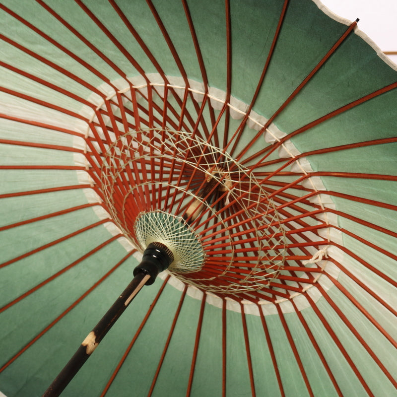 黒竹和日傘 『虹色染め』深碧