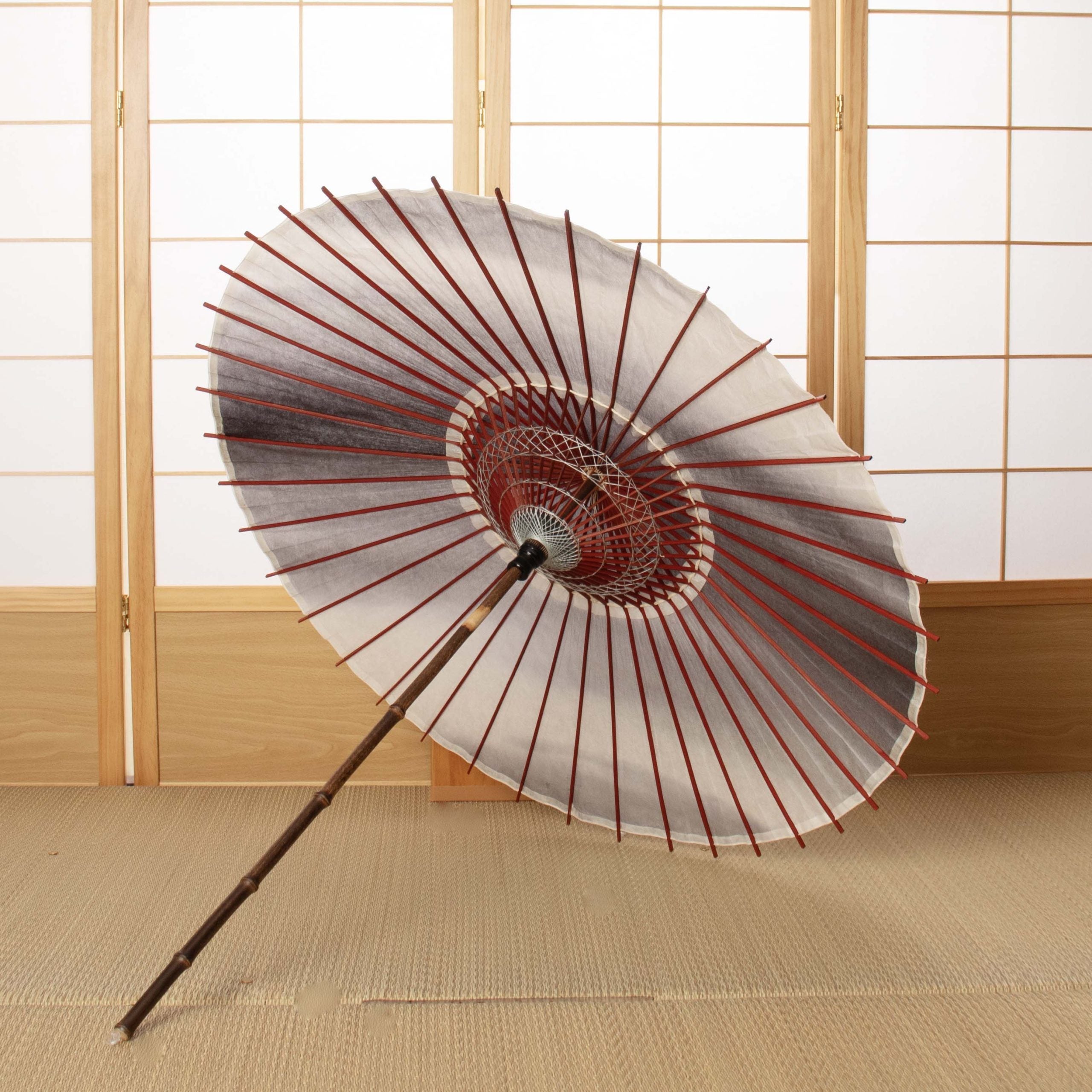 Rainbow-Colored Dyeing (Gray) / Japanese Black Bamboo Parasol