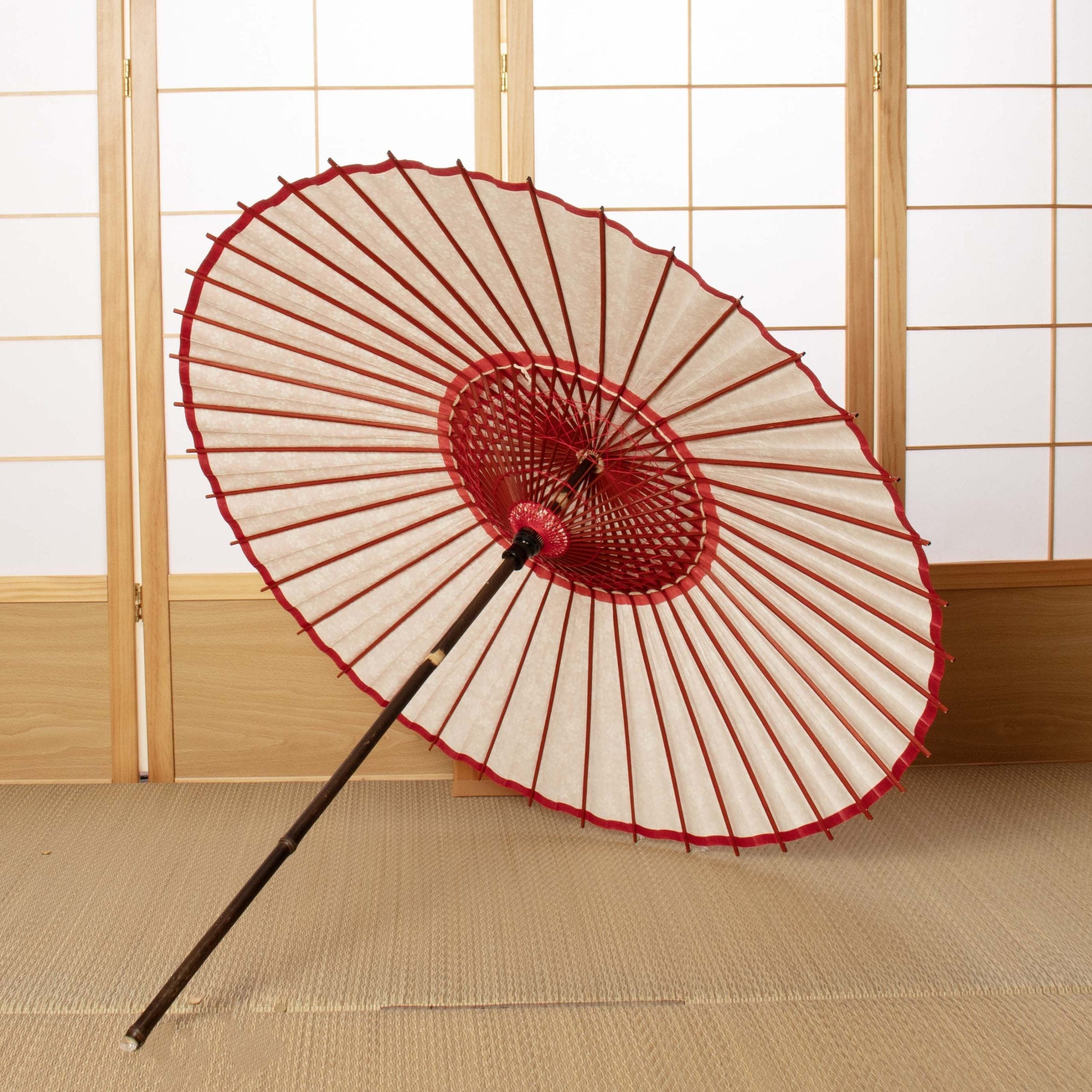 Black bamboo Japanese parasol, Kyo-Yuzen "Sakura Weather/Red"