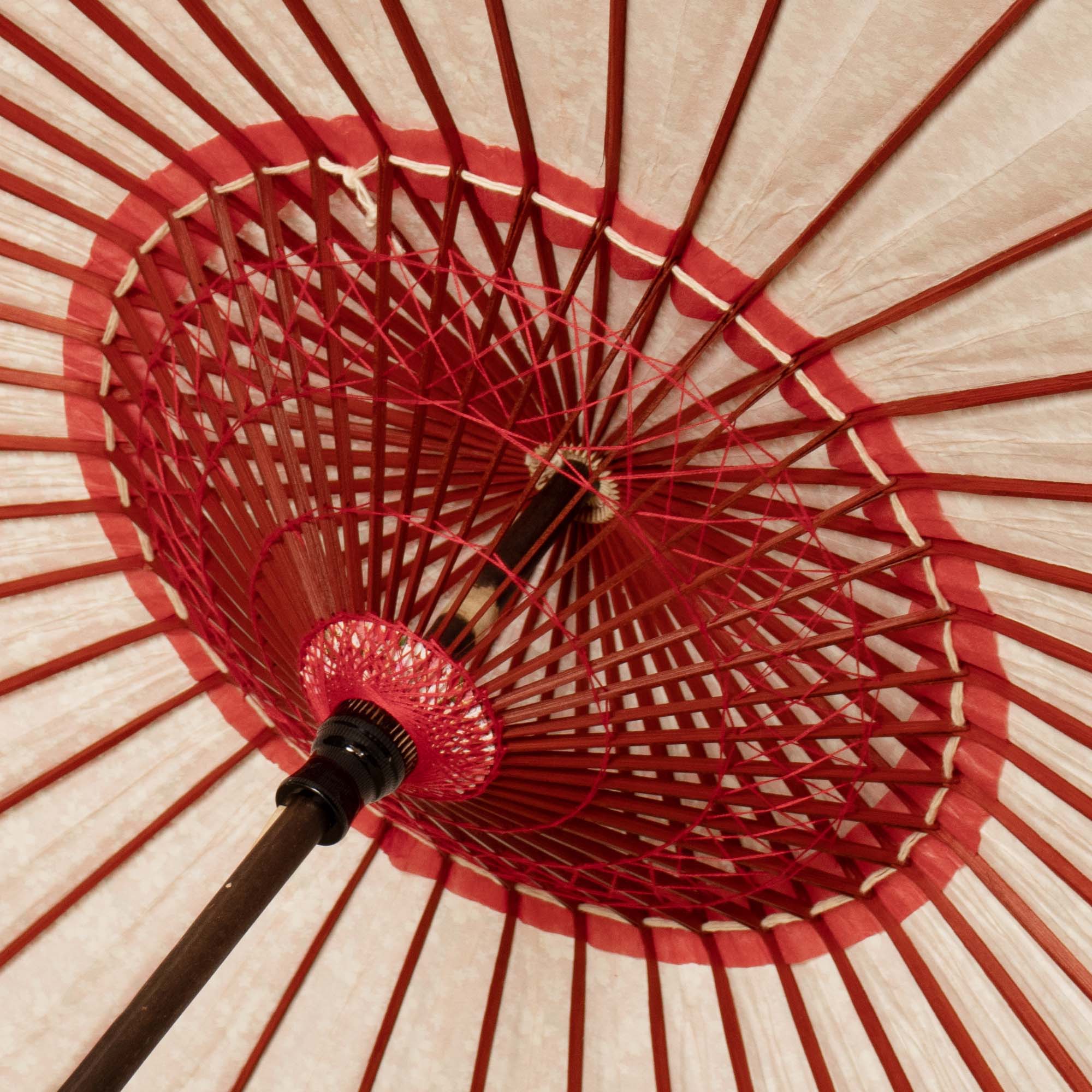 Black bamboo Japanese parasol, Kyo-Yuzen "Sakura Weather/Red"