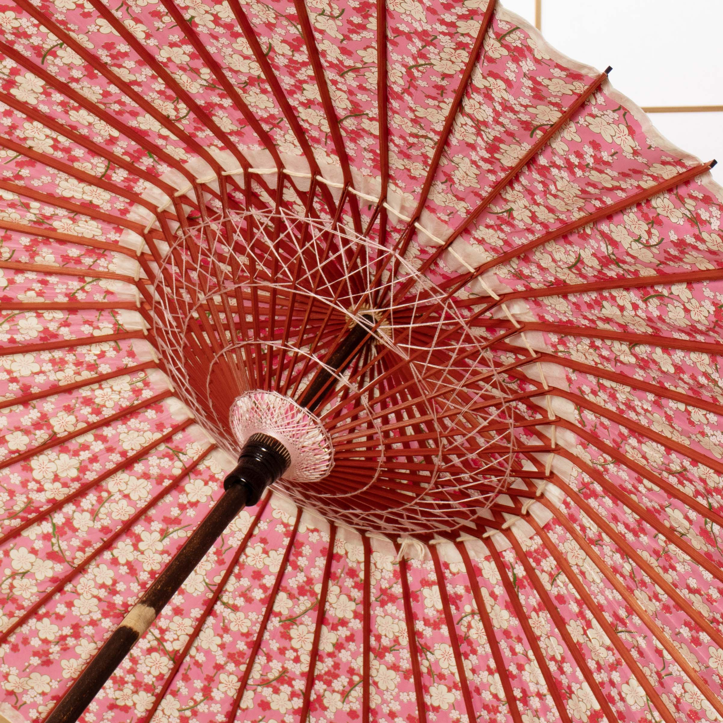 “Hana Hiraku”Ume no Hana/High Quality Paper Parasol