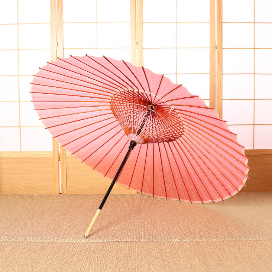 乙女桜
