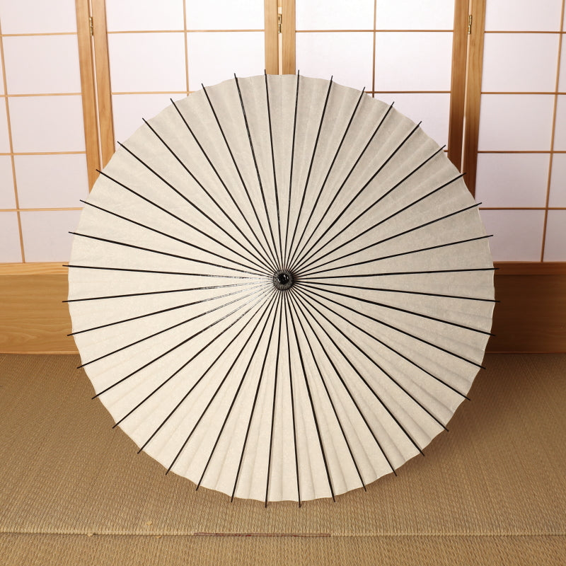 Black bamboo Japanese parasol "Flowering" Yukiyanagi / light blue