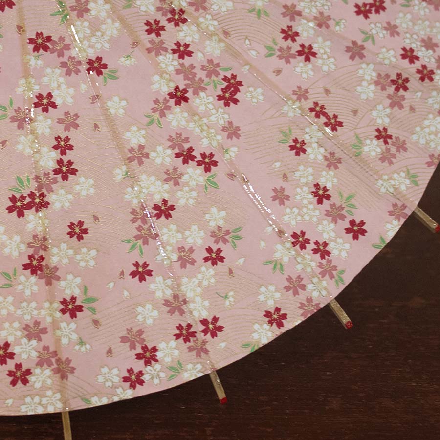 姫和傘  大寸『川面に桜』